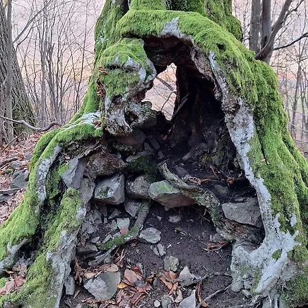 Kır Evi Burg Nad Banskou Stiavnicou Stiavnicke Bane