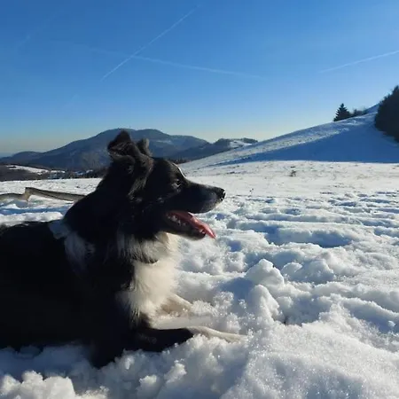 Kır Evi Burg Nad Banskou Stiavnicou