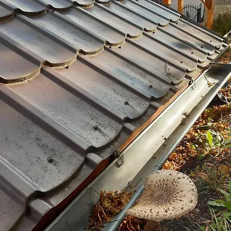 Burg Nad Banskou Stiavnicou *