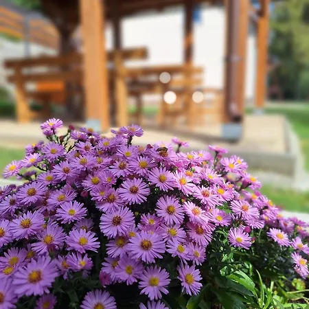 Burg Nad Banskou Stiavnicou Casa de Campo