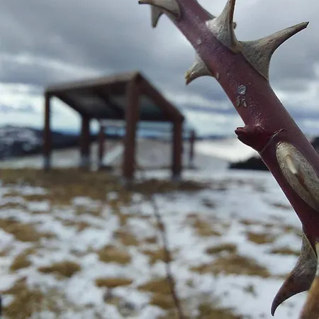 Kır Evi Burg Nad Banskou Stiavnicou Stiavnicke Bane